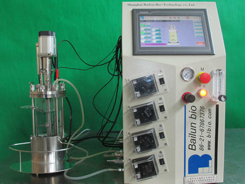 3L離位滅菌機械攪拌玻璃發酵罐